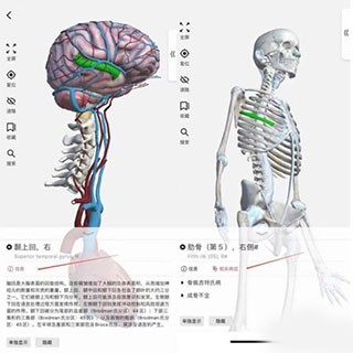 3dbody解剖(图2)