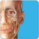 atlas人体解剖软件