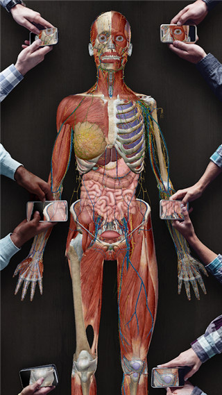 atlas人体解剖软件截图1
