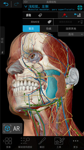 atlas人体解剖软件截图4