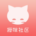 猫咪社区